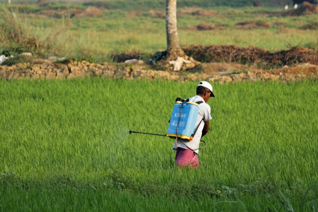 man in white t-shirt and blue denim shorts with blue backpack walking on green grass