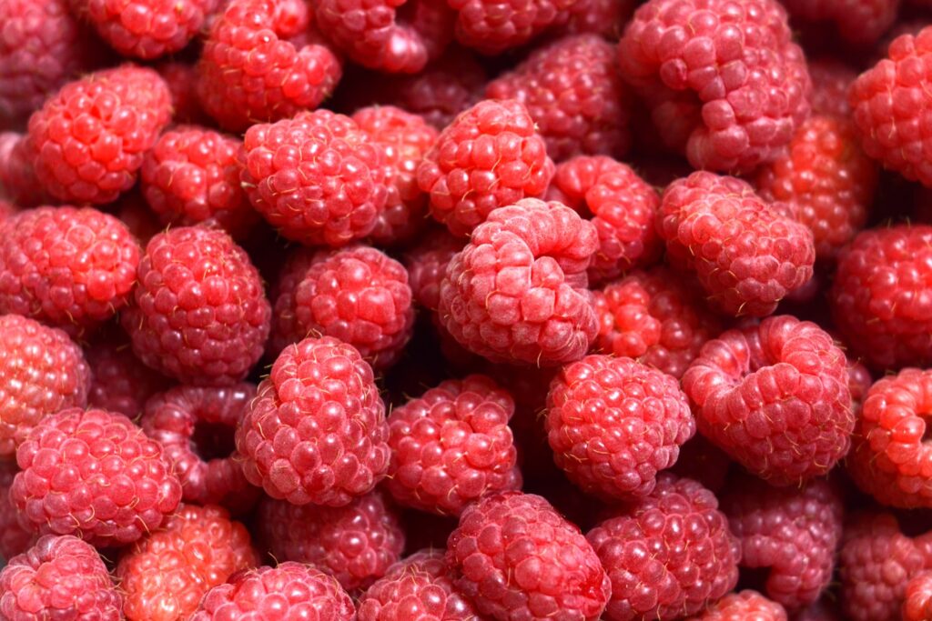 red strawberry fruits