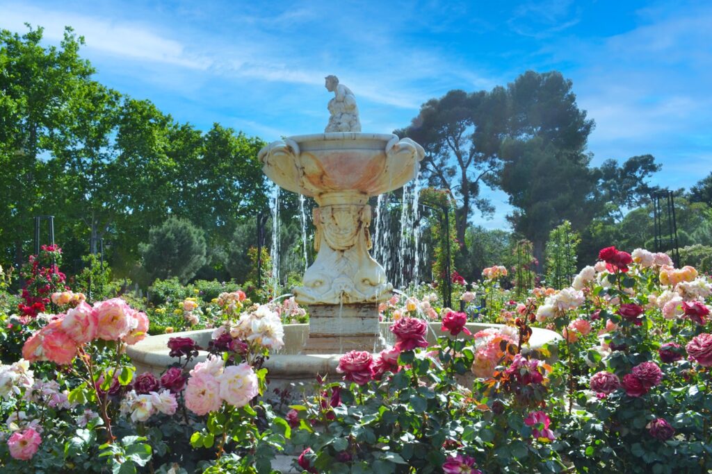 Took this photo while walking through the beautiful El Retiro Park in Madrid.  The garden area is amazing to see.