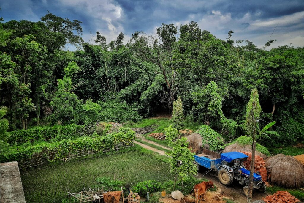 displaying natural elements such as plants, and close-ups of natural scenes and textures.